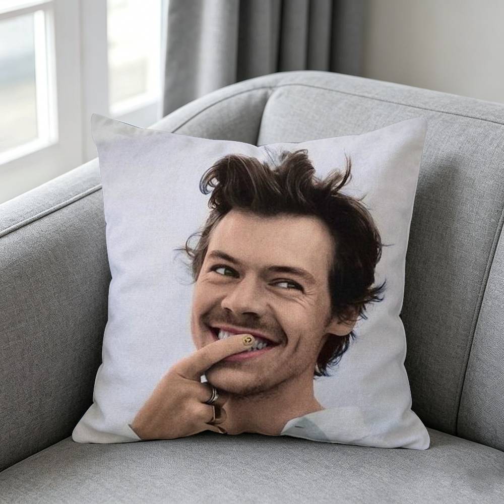 Michele B-Bravi Freddo-o Pillo - Home Textiles Definition ulasan dan harga