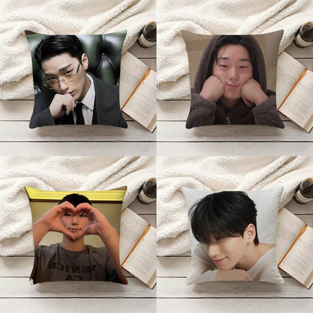 C-Choi S-San Pillow Cover Sofa - Home.Textiles Cushion ulasan dan harga
