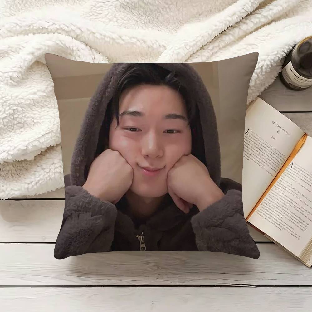 C-Choi S-San Pillow Cover Sofa - Home.Textiles Cushion ulasan dan harga